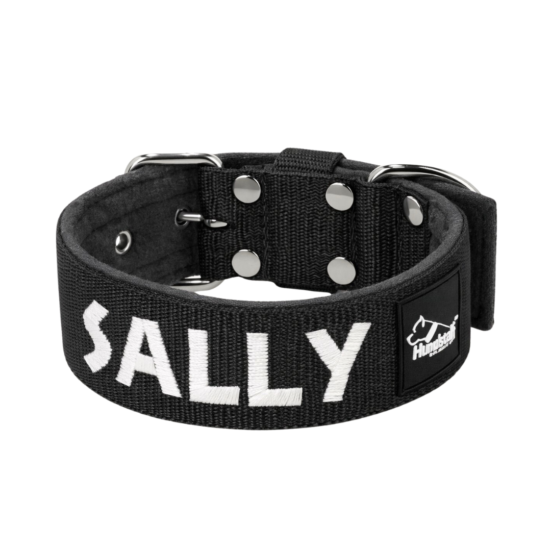 Collar para perro personalizado