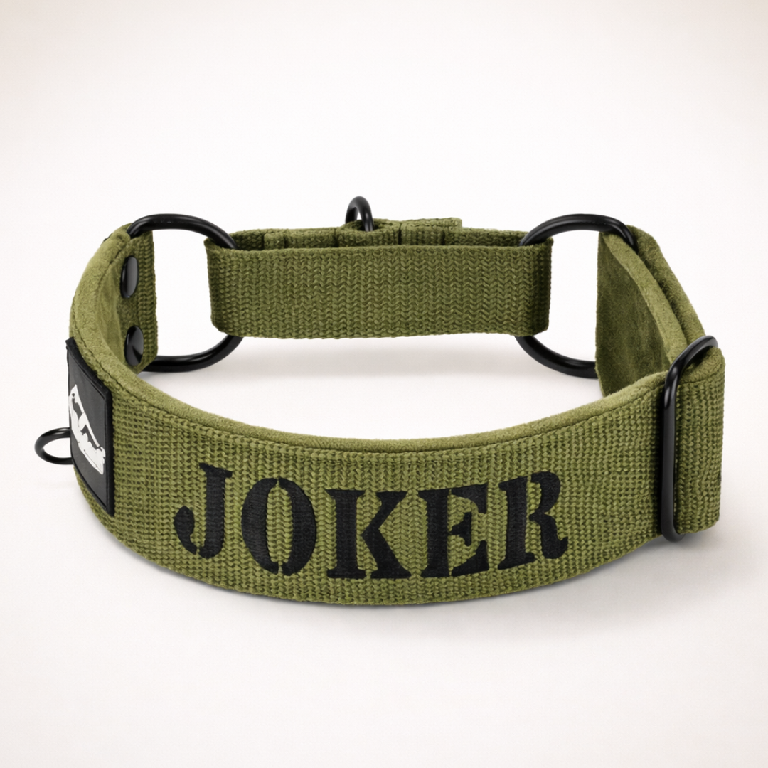 Collar martingala con nombre