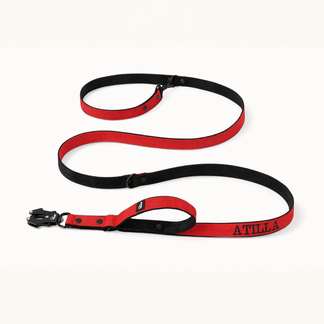 Pareja múltiple con nombre