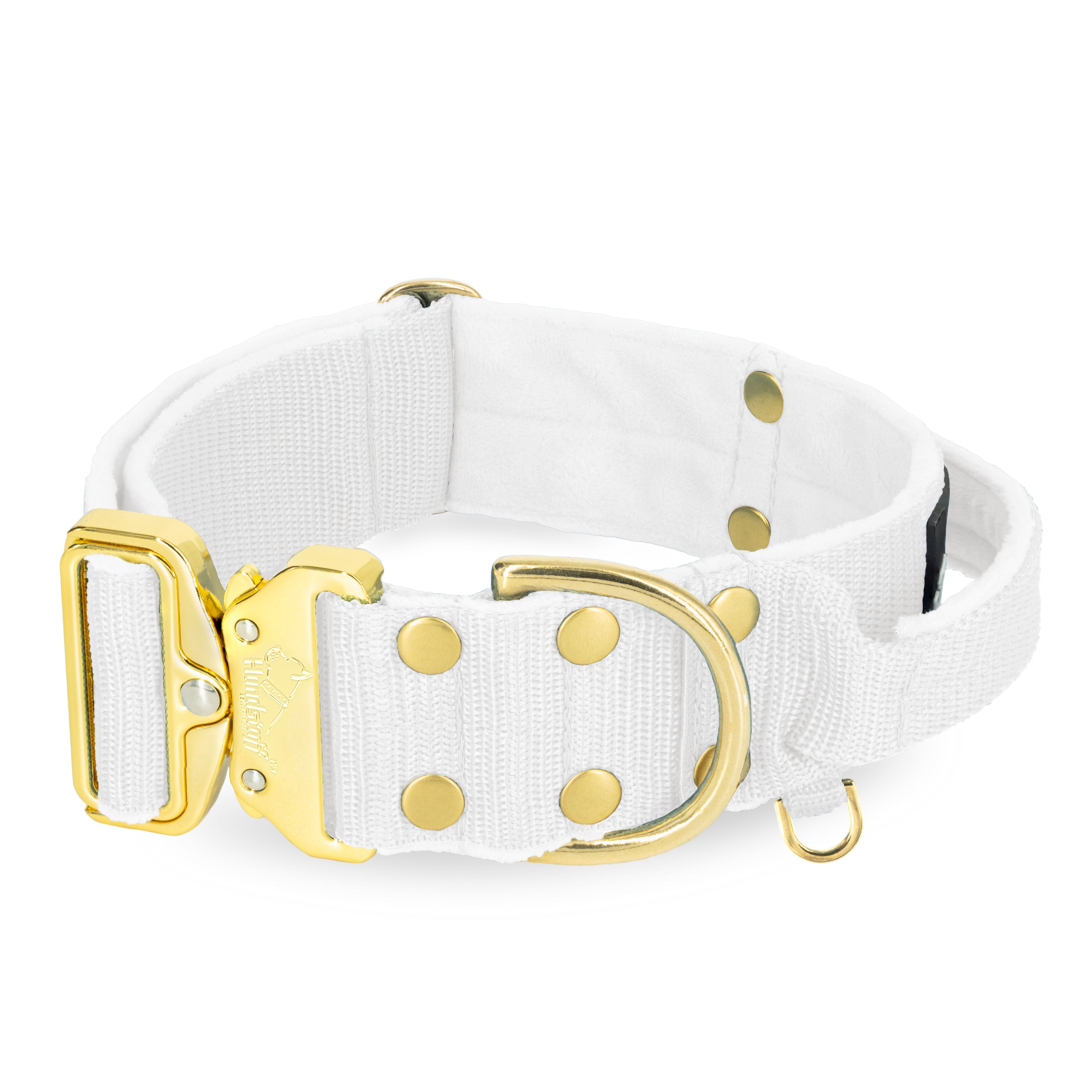 Extreme Gold Buckle White - Collar fuerte y seguro