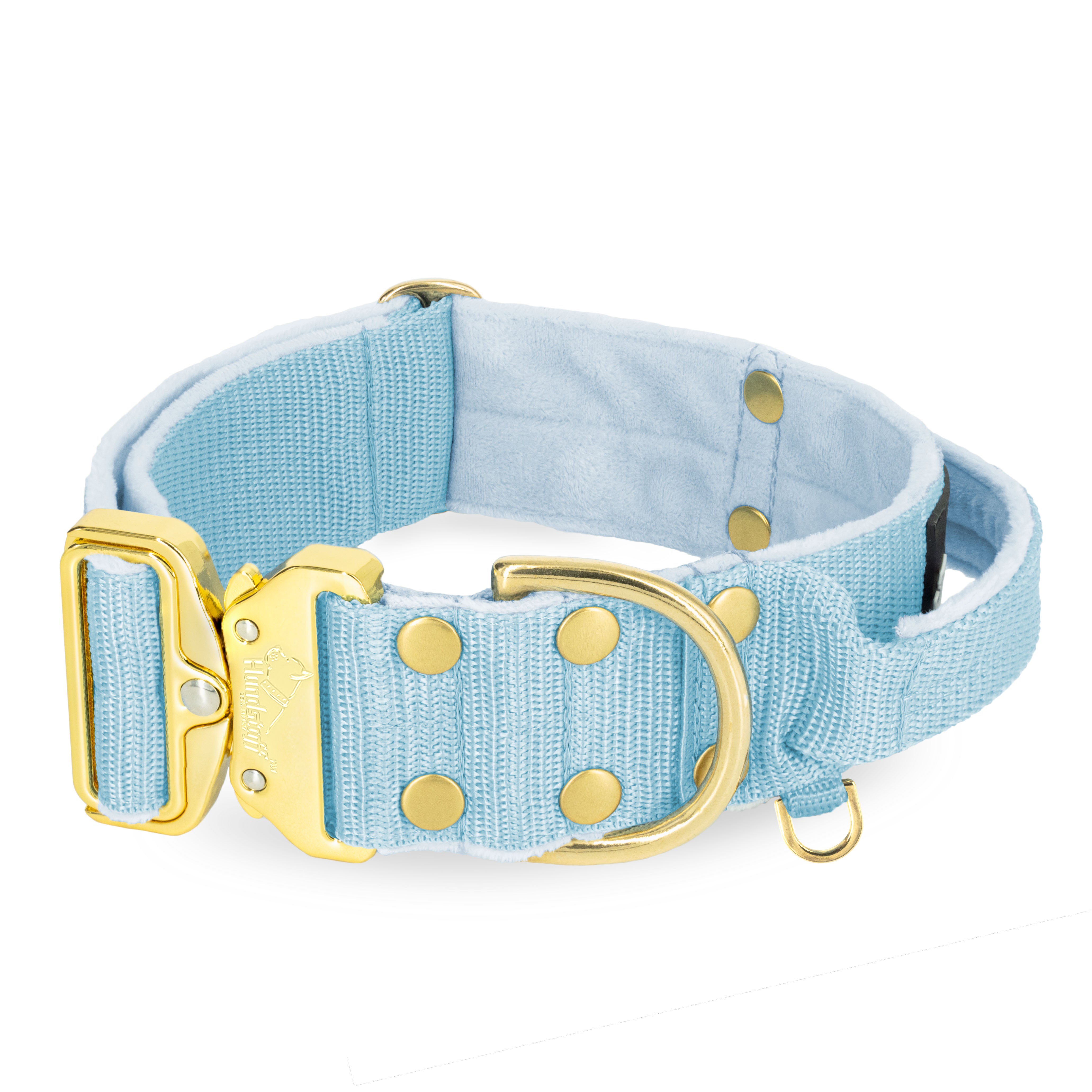 Extreme Gold Buckle Baby Blue - Collar fuerte y seguro