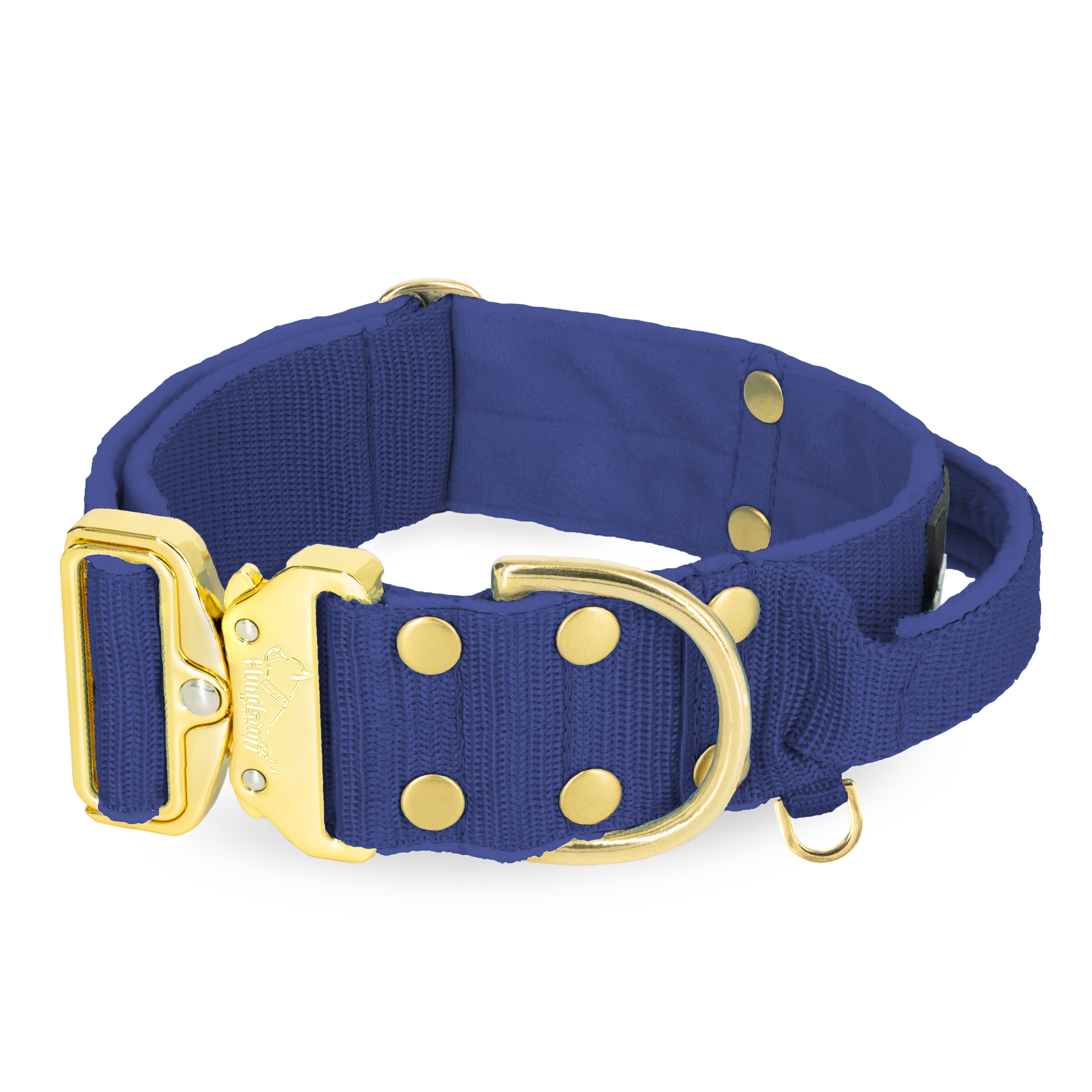 Extreme Gold Buckle Azul Marino - Collar fuerte y seguro