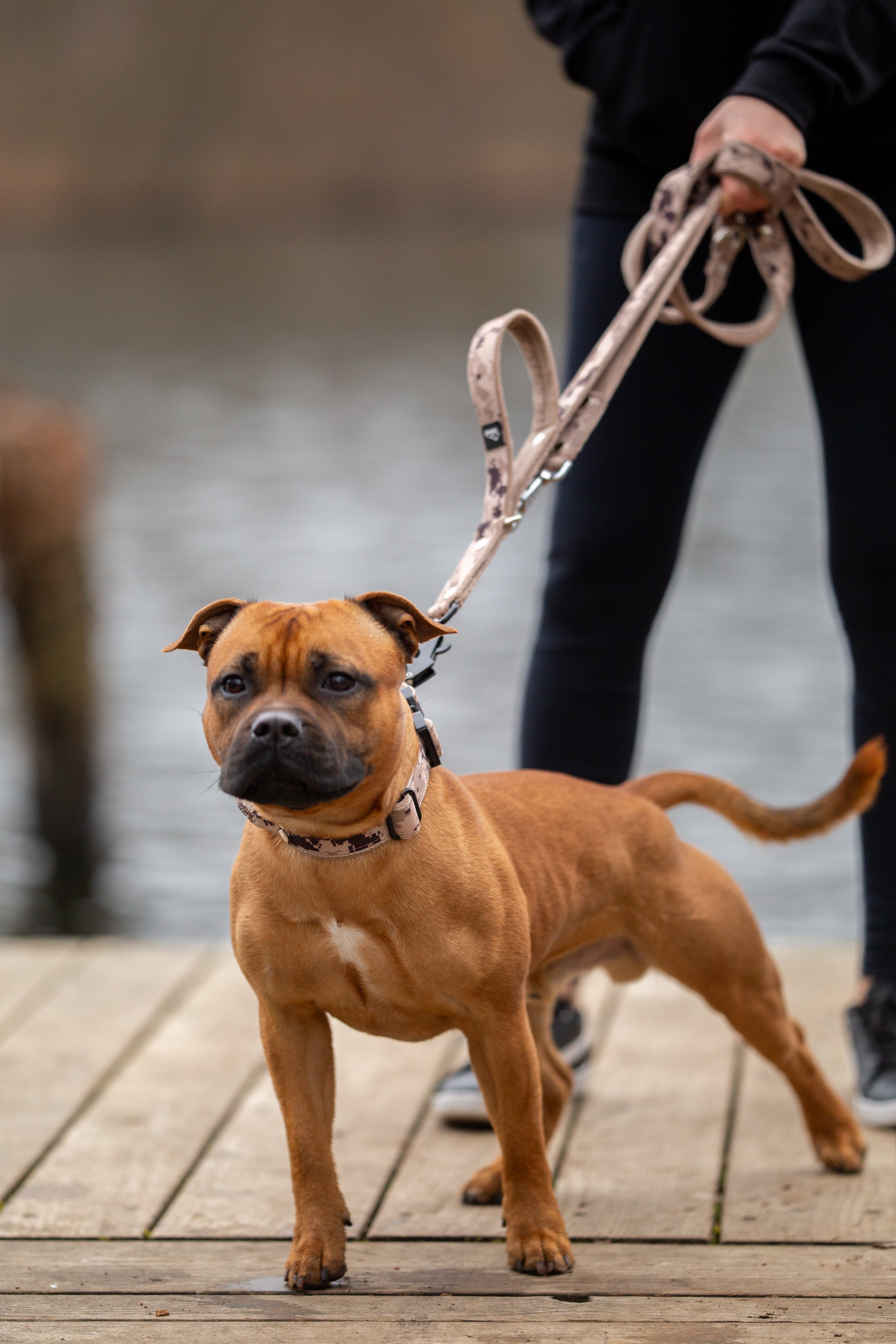 Correa Multi Guard Camo Beige - Correa Multi Guard