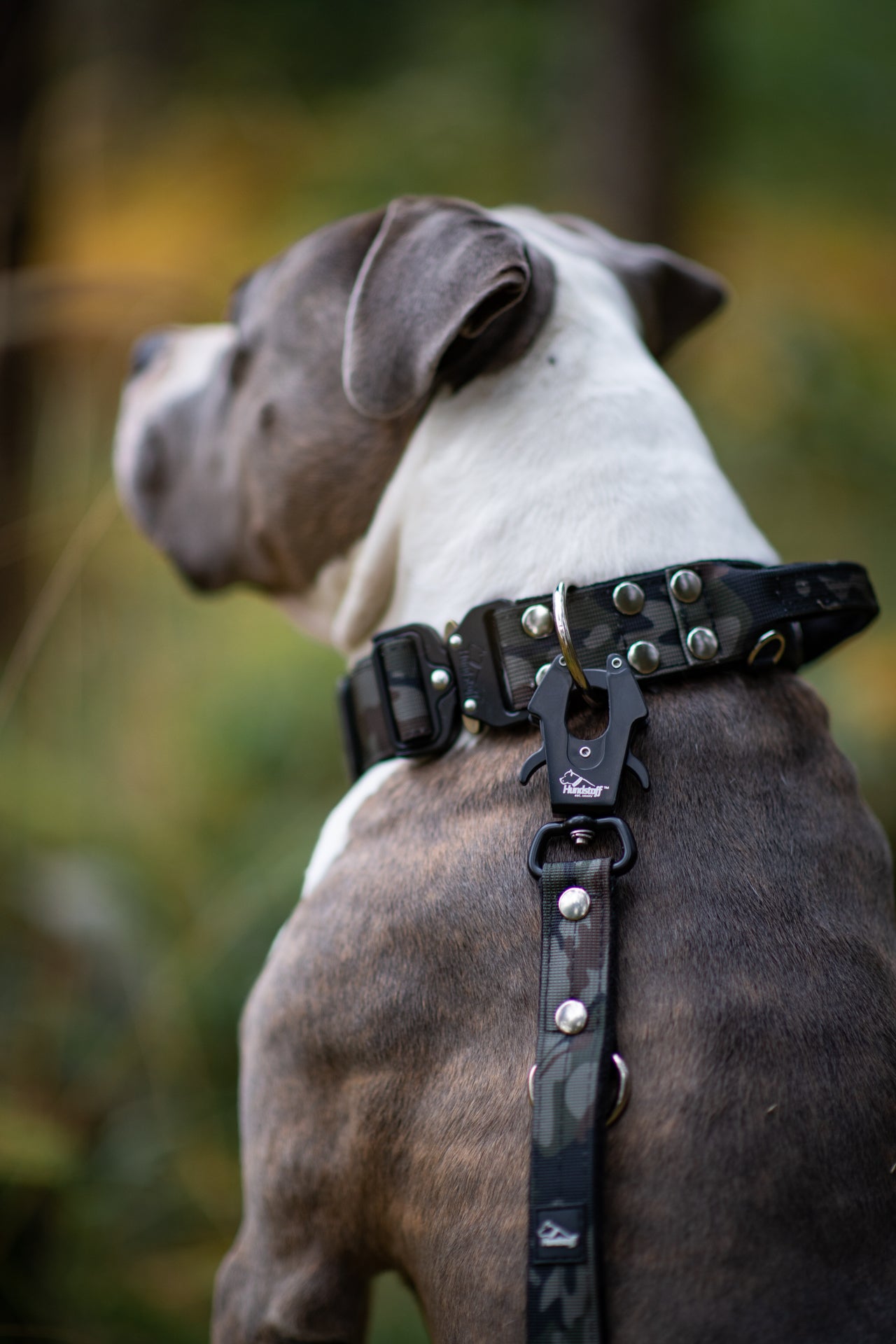 Correa Multi Guard Camo Negro - Correa Multi Guard