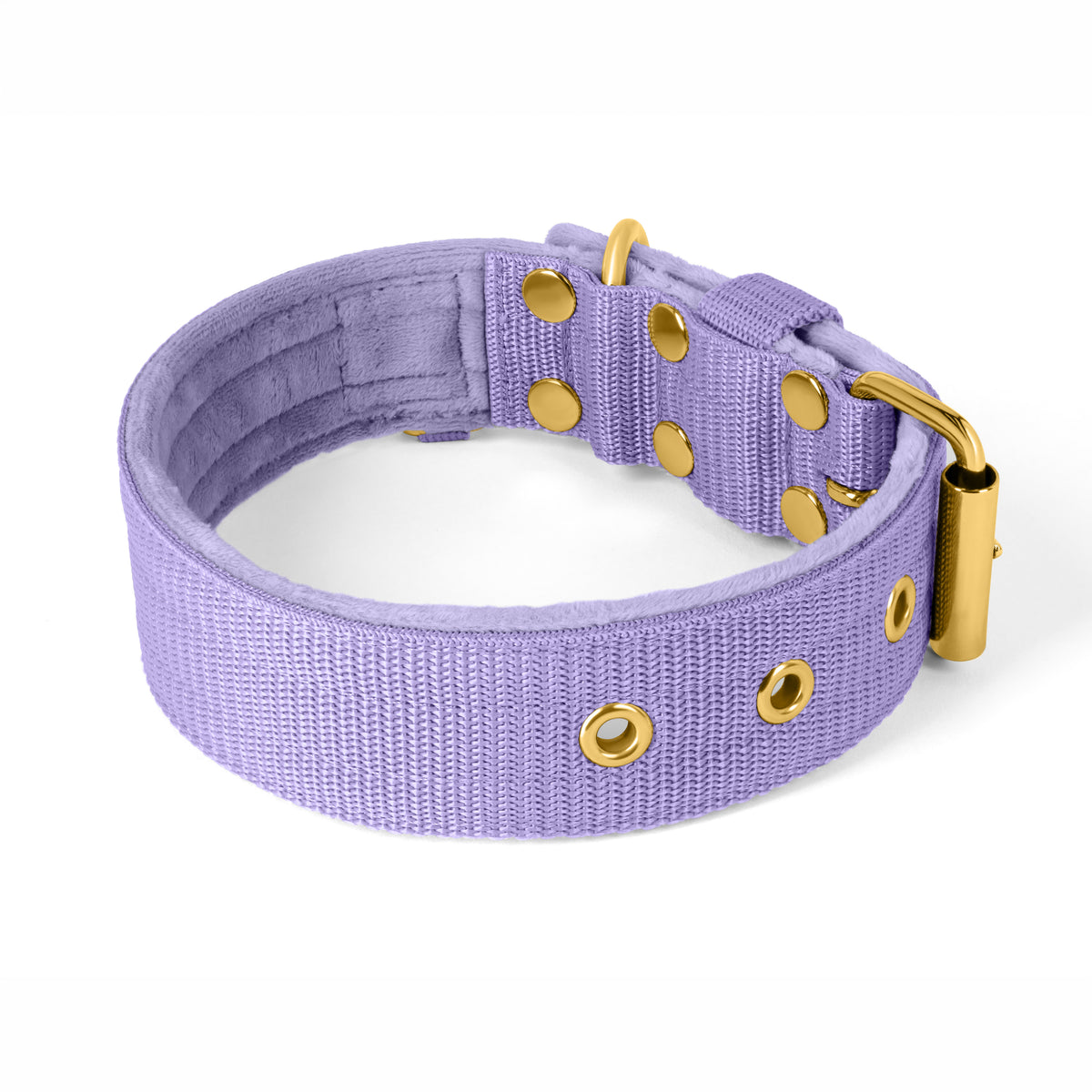 Active Golden Beige - Collar ancho y resistente con hebilla