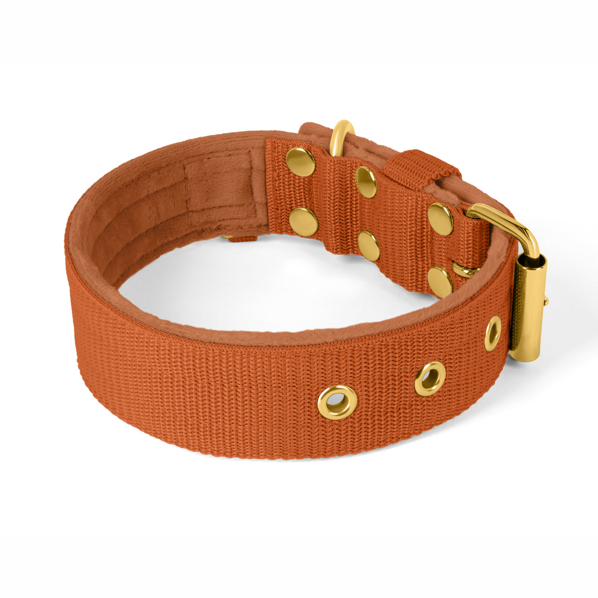 Active Golden Burned Orange - Collar ancho y resistente con hebilla