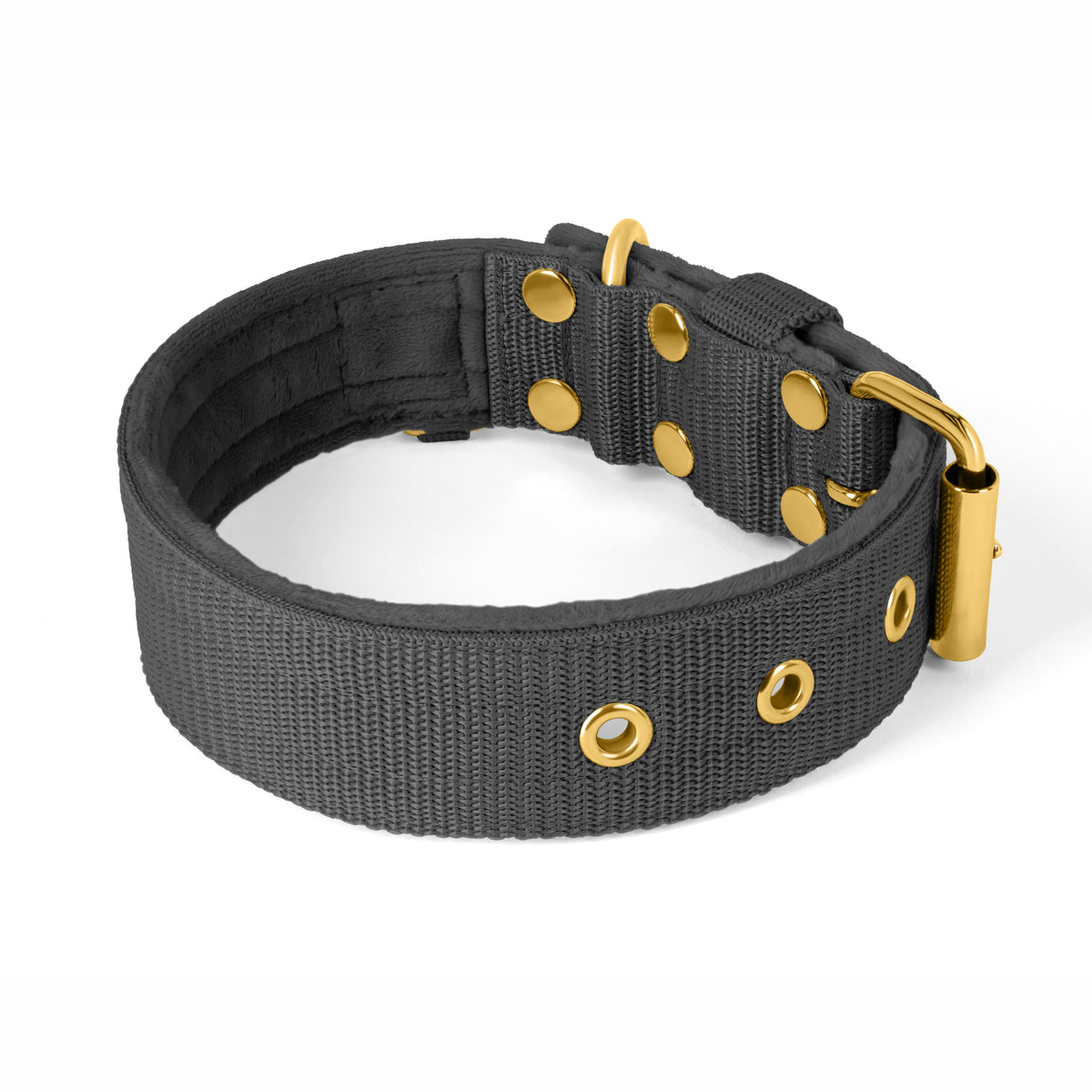 Active Golden Dark Grey - Collar ancho y resistente con hebilla