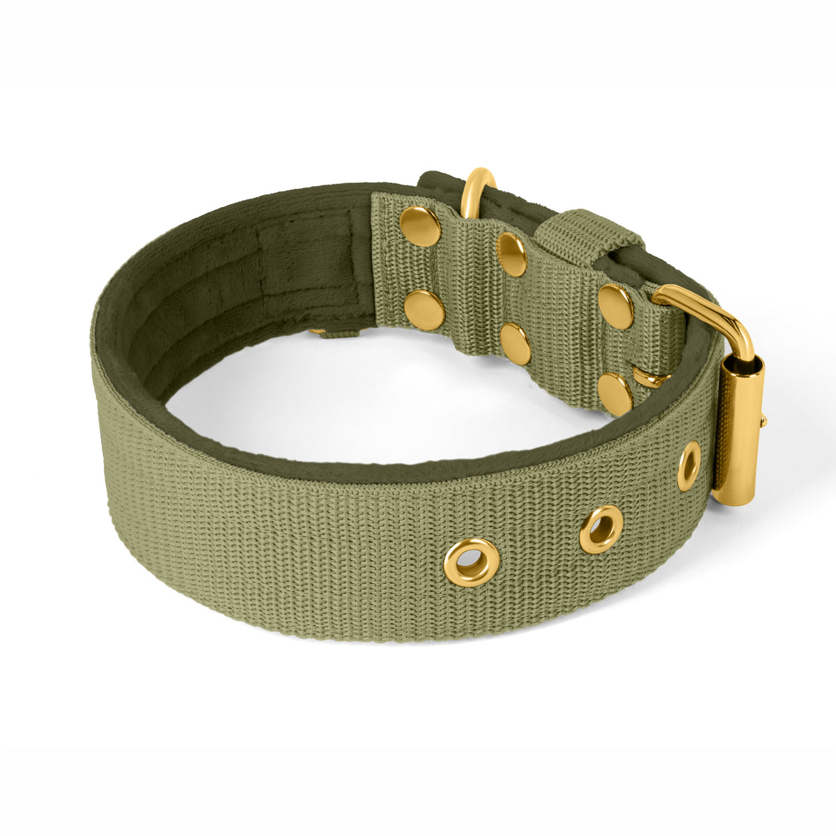 Active Golden Olive Green - Collar ancho y resistente con hebilla