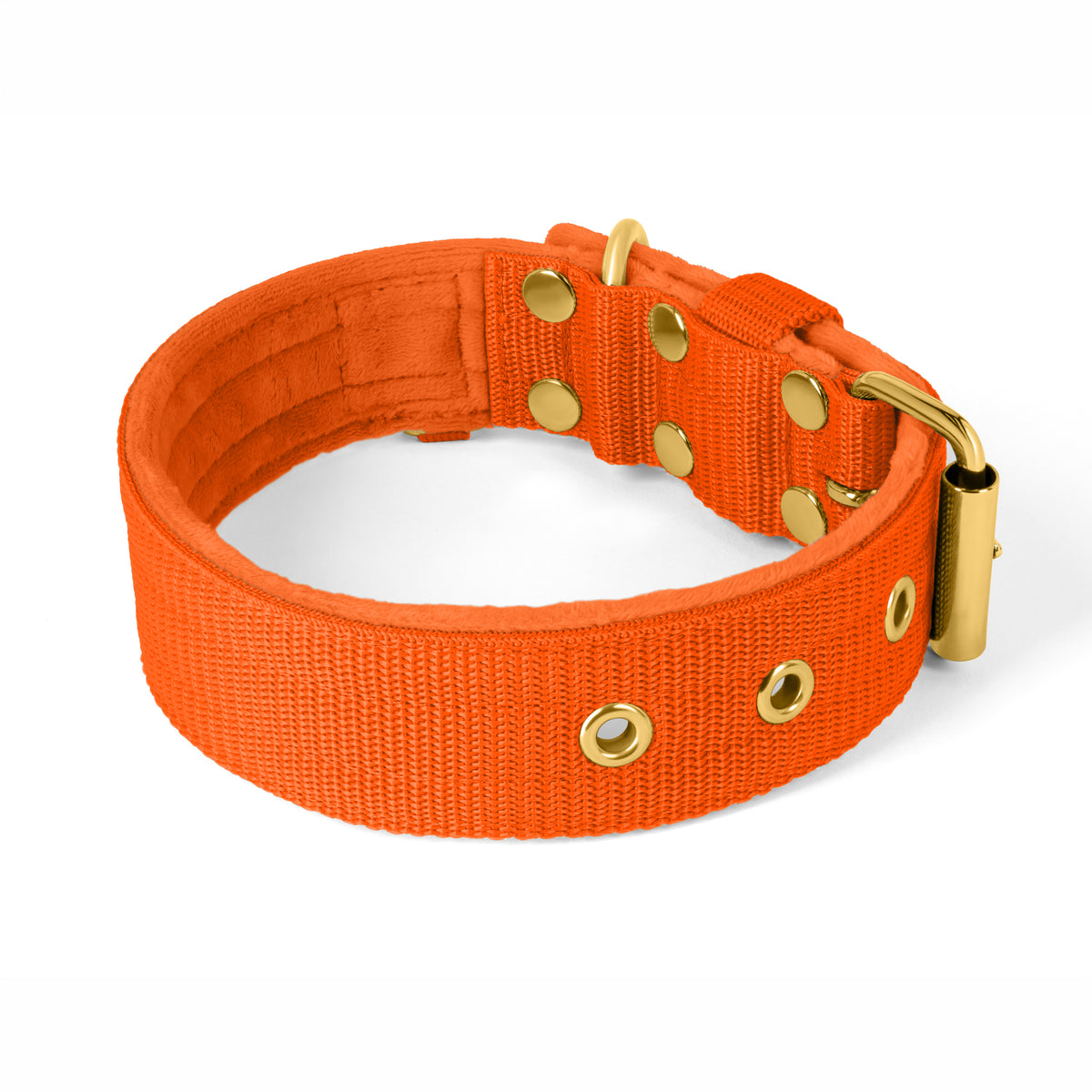 Active Golden Beige - Collar ancho y resistente con hebilla