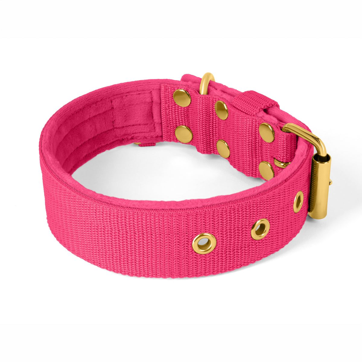 Active Golden Beige - Collar ancho y resistente con hebilla