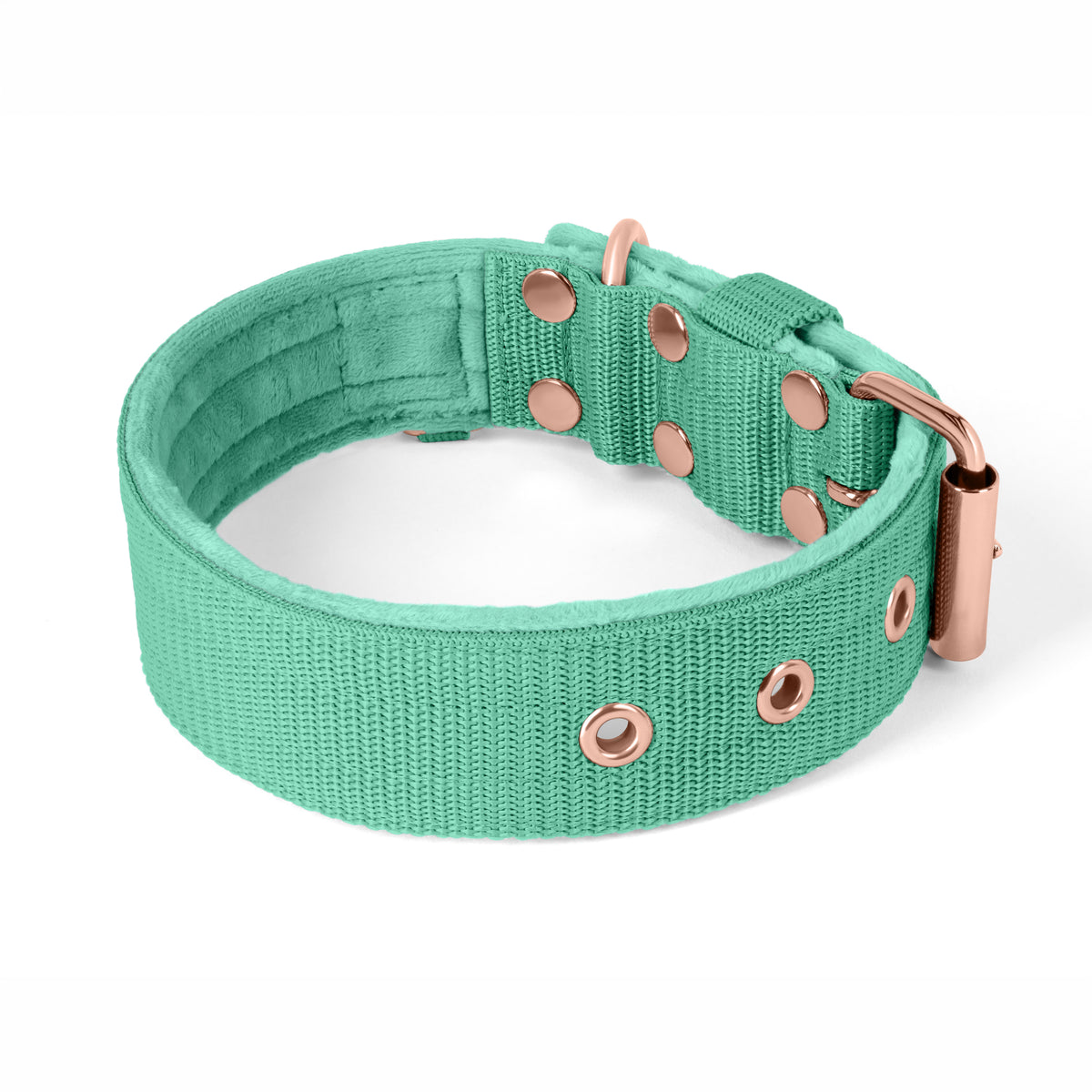 Active Komfort Rose Edition Pastel Green - Collar ancho y resistente con hebilla