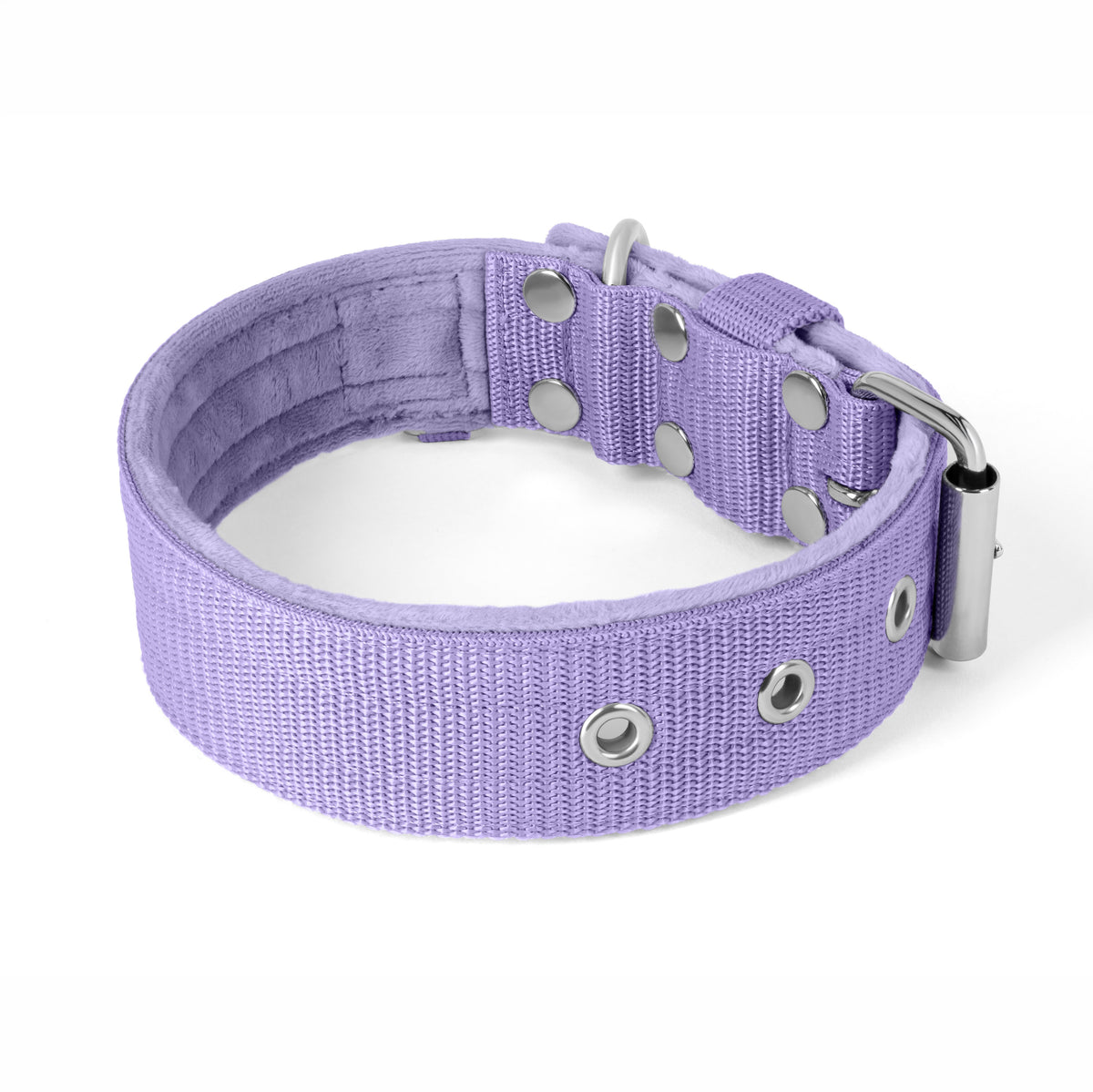 Active Baby Purple - Collar ancho y resistente con hebilla