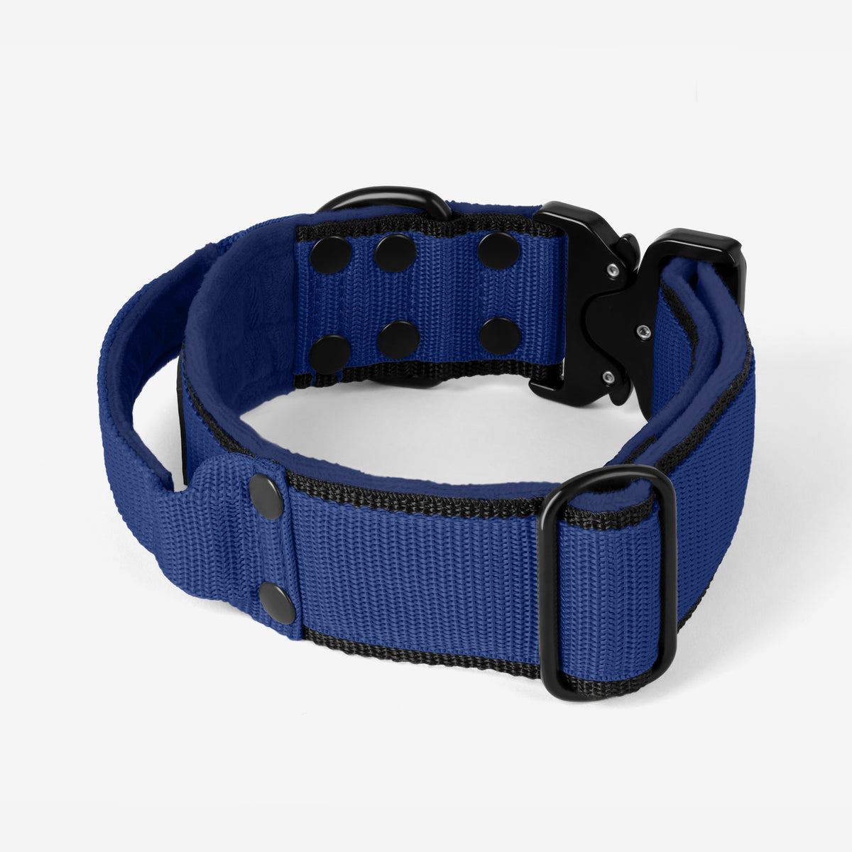 Extreme Buckle Black Edition Navy Blue - Collar resistente y seguro