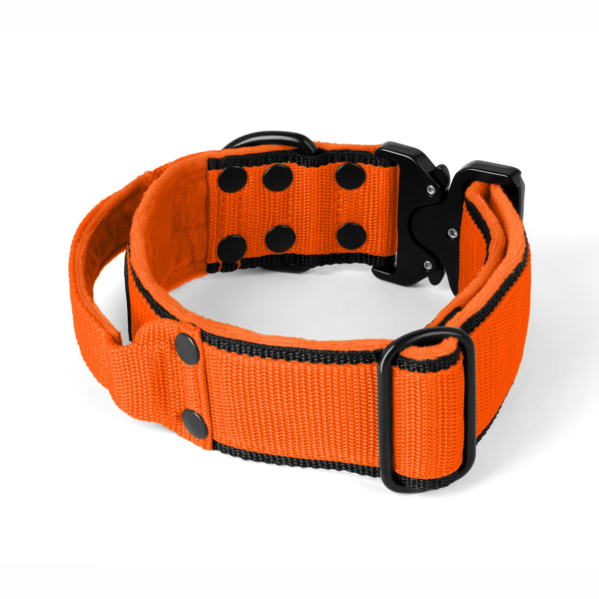 Extreme Buckle Black Edition Orange - Collar fuerte y seguro