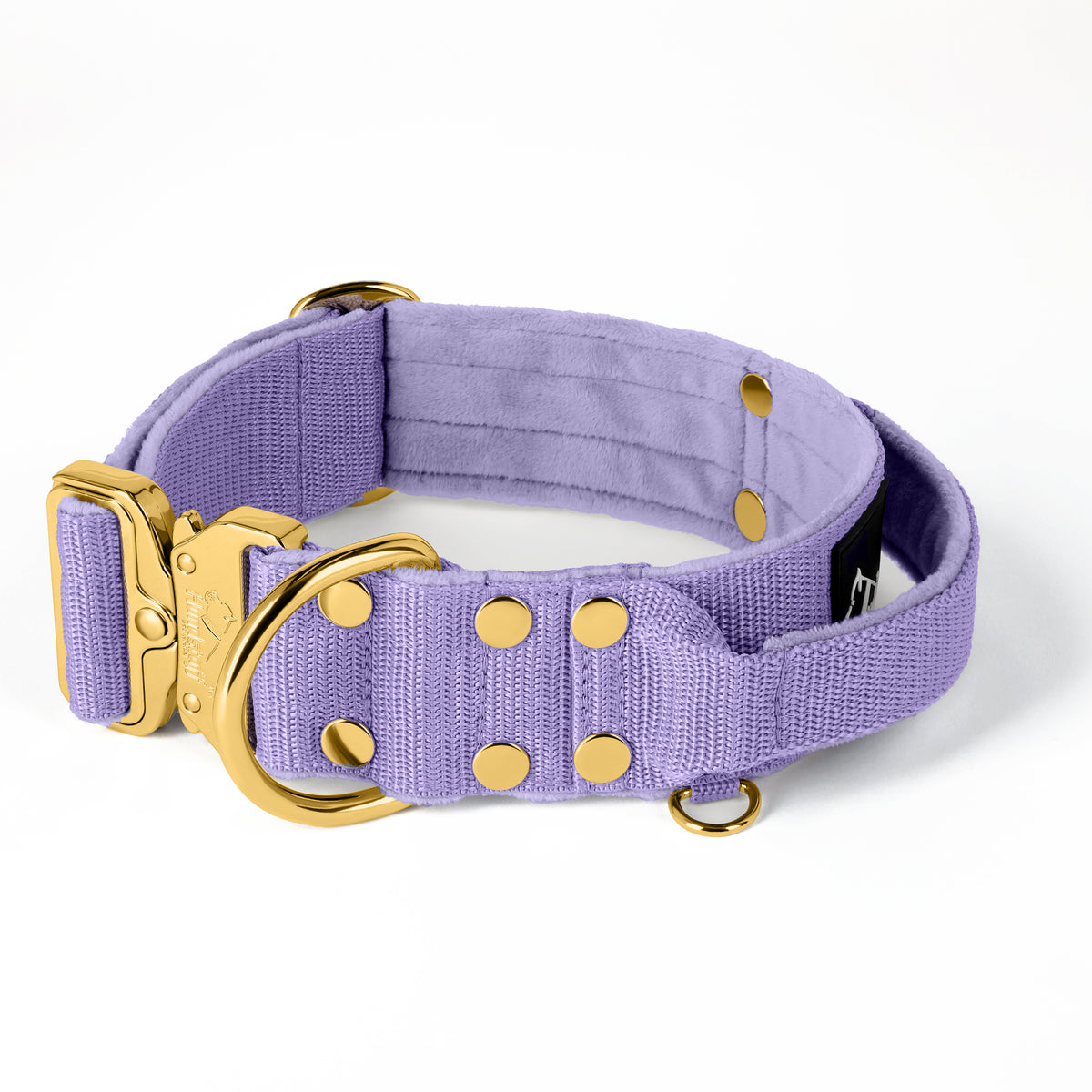 Extreme Gold Buckle Beige - Collar resistente y seguro