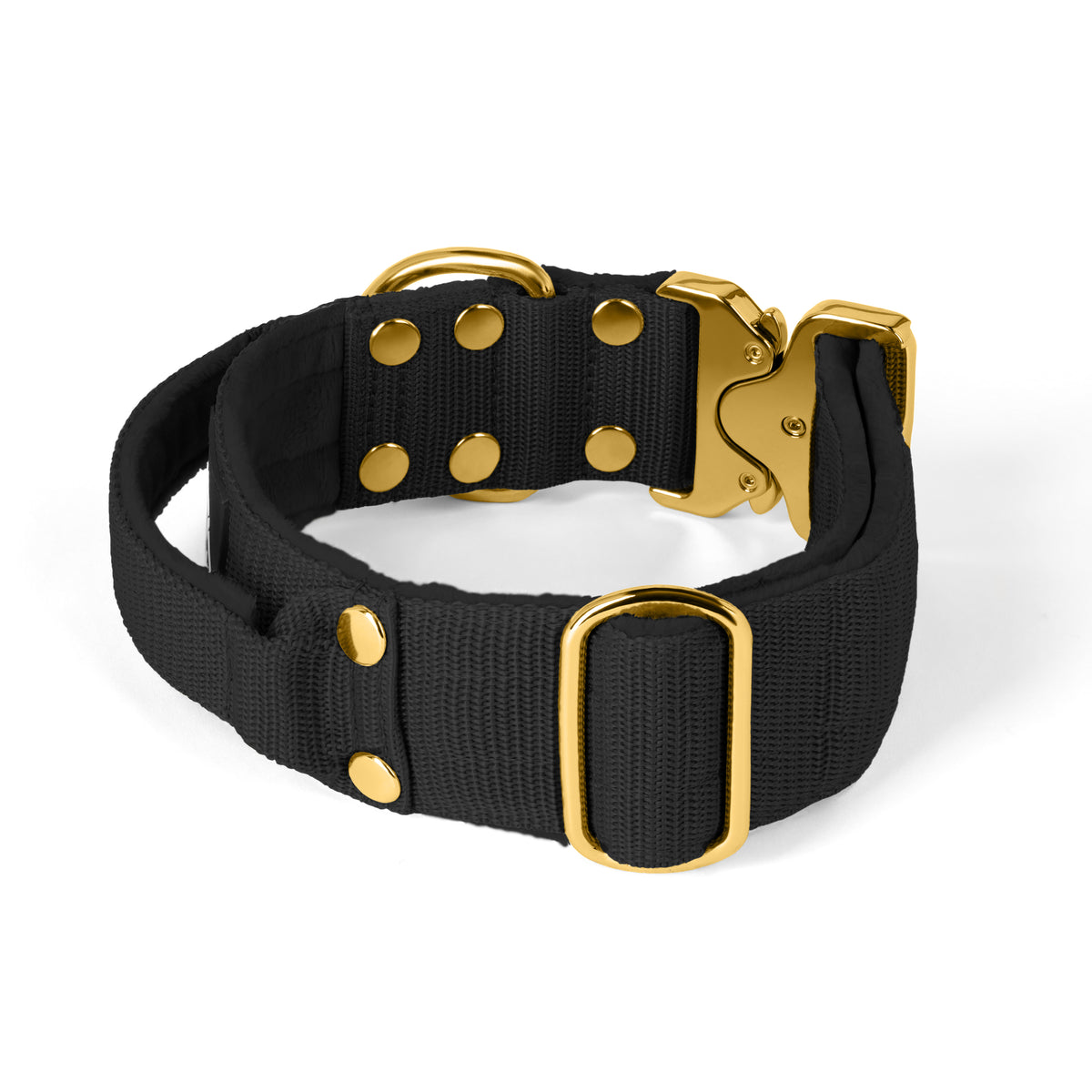 Extreme Gold Buckle Black - Collar fuerte y seguro