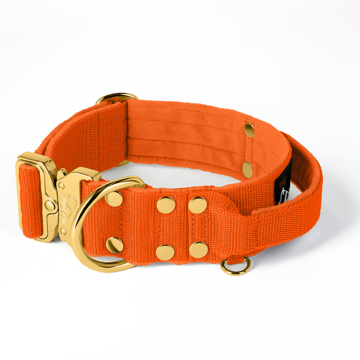 Extreme Gold Buckle Beige - Collar resistente y seguro