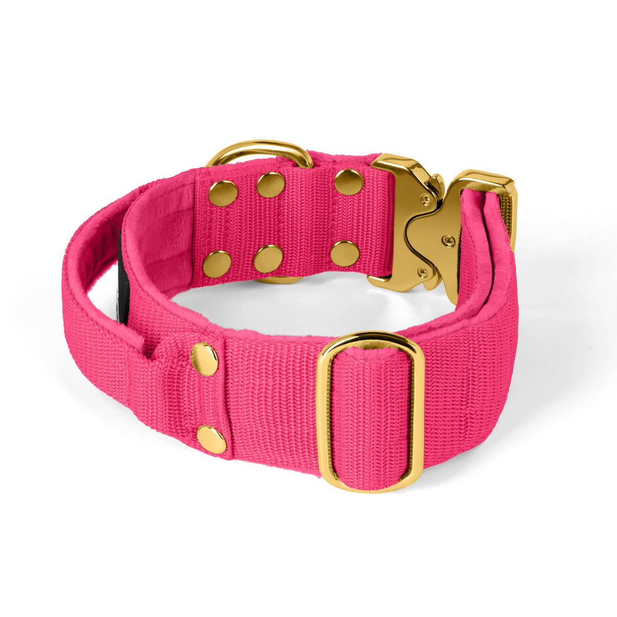Extreme Gold Buckle Beige - Collar resistente y seguro