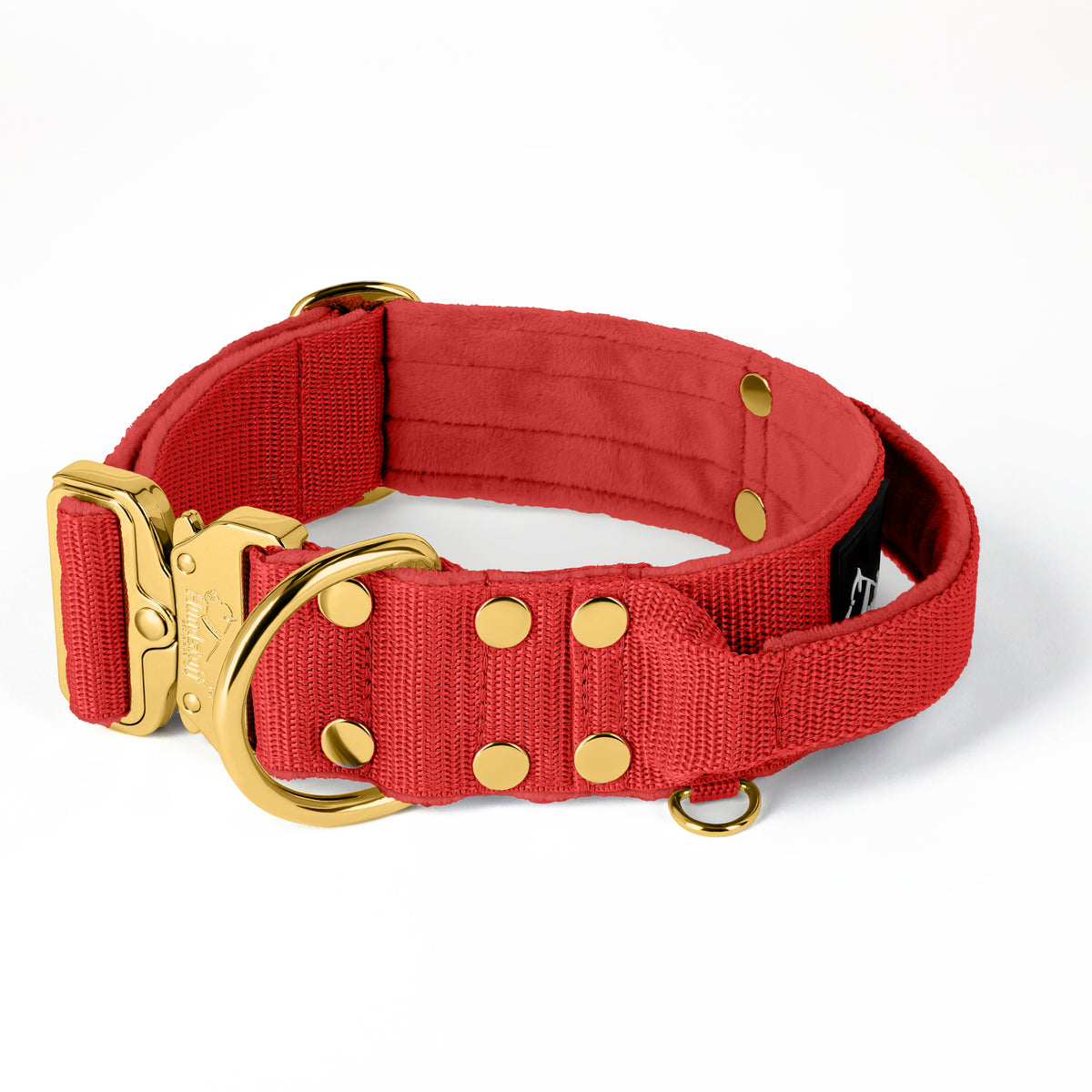 Extreme Gold Buckle Beige - Collar resistente y seguro