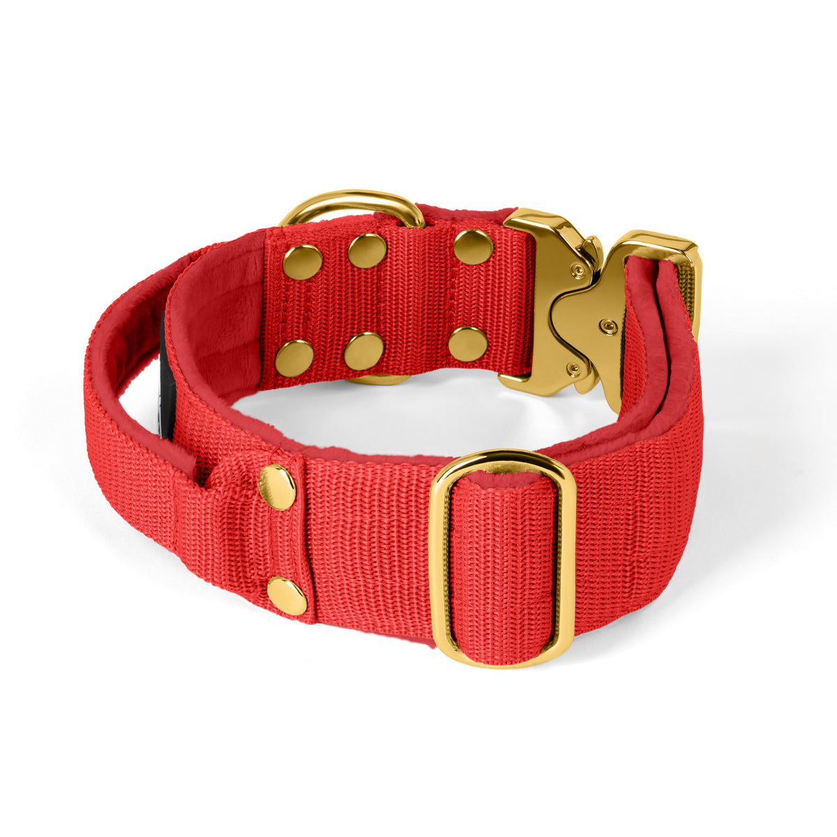 Extreme Gold Buckle Beige - Collar resistente y seguro