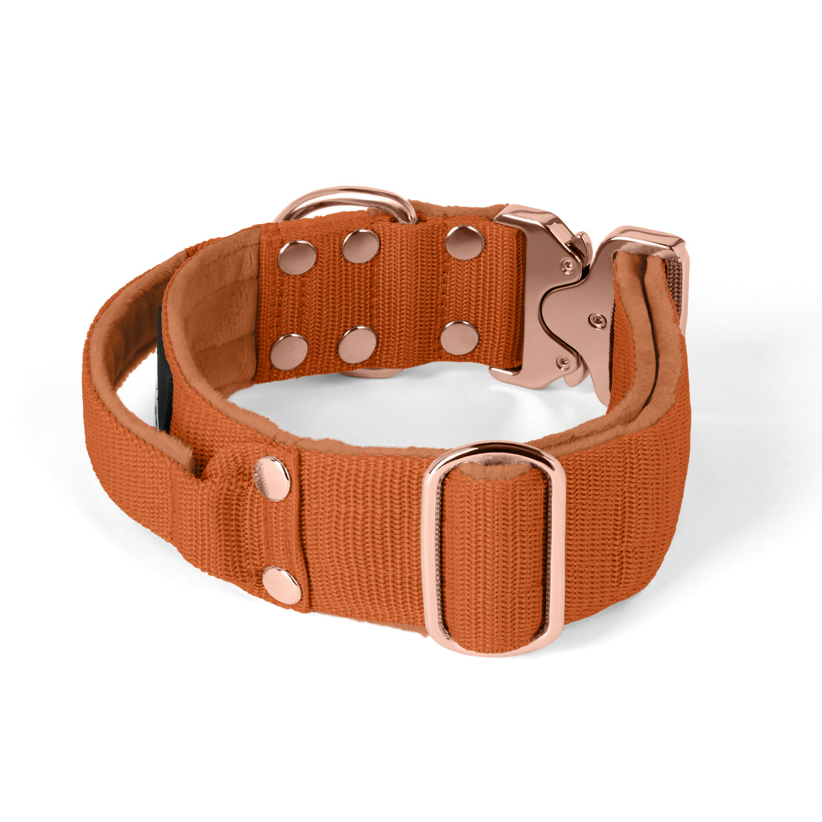 Extreme Rose Buckle Grey - Collar fuerte y seguro