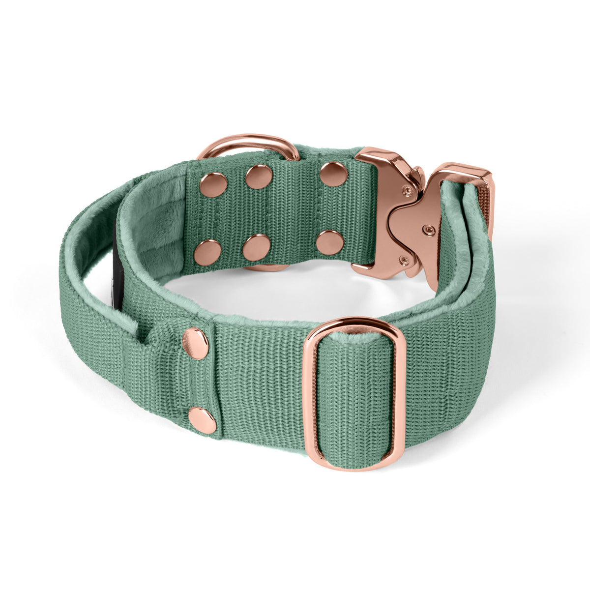 SALE Extreme Rose Buckle Verde Pastel, Talla L, Ancho 4 cm, Con asa