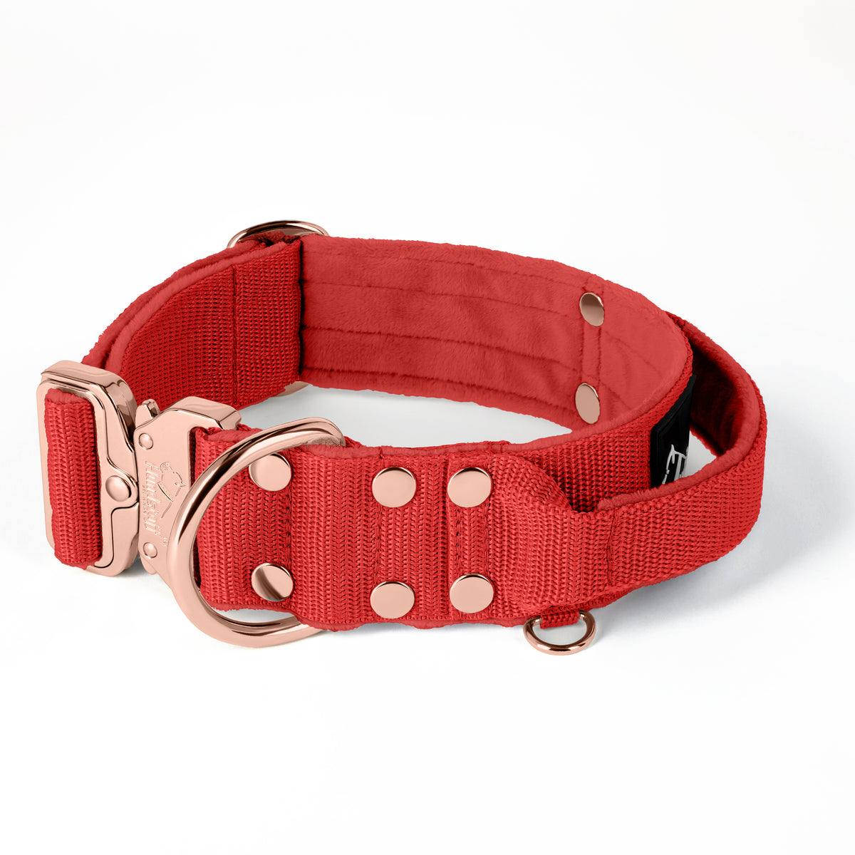 Extreme Rose Buckle Grey - Collar fuerte y seguro