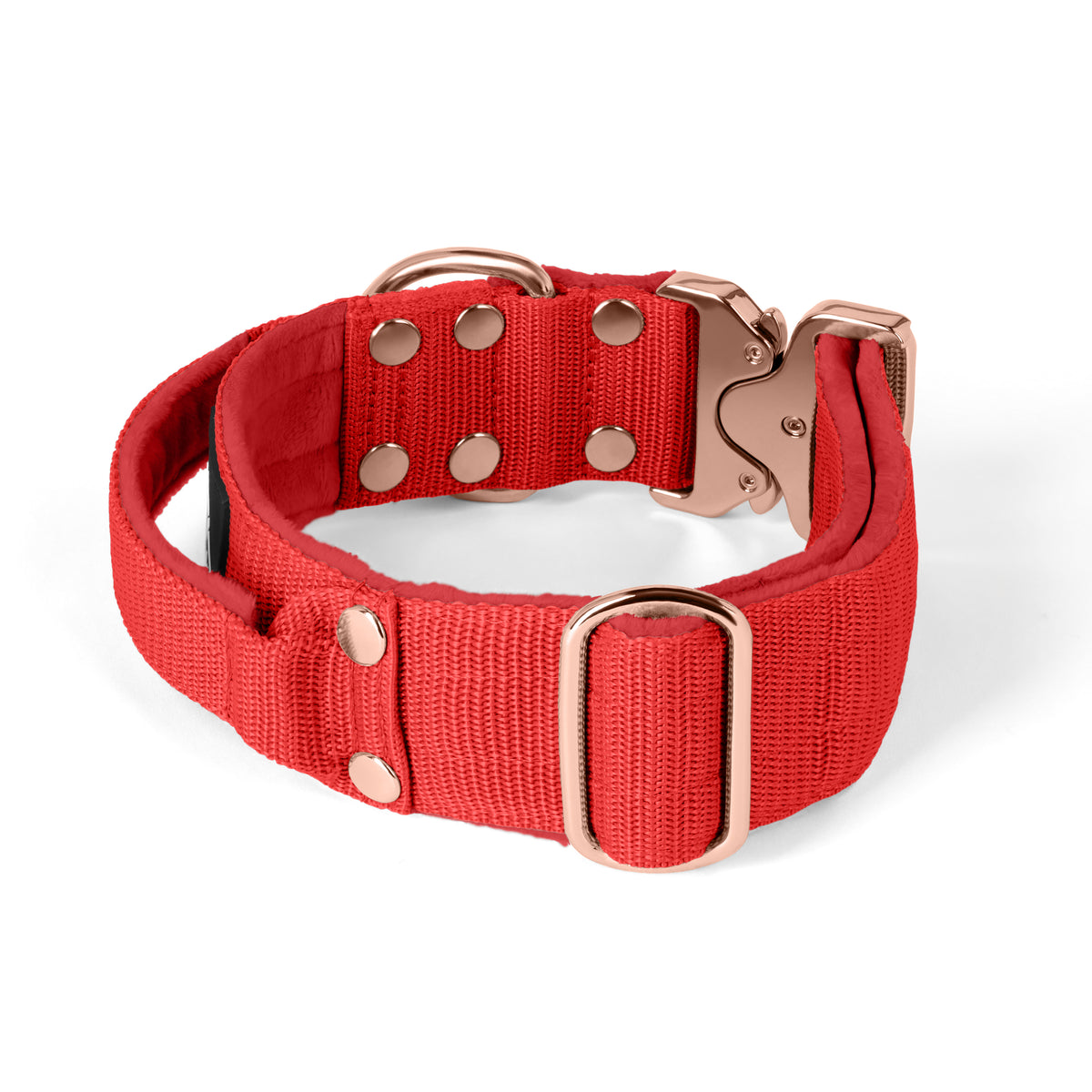 Extreme Rose Buckle Grey - Collar fuerte y seguro