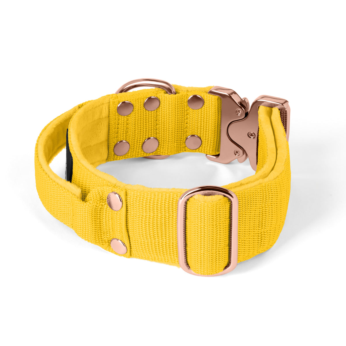Extreme Rose Buckle Grey - Collar fuerte y seguro