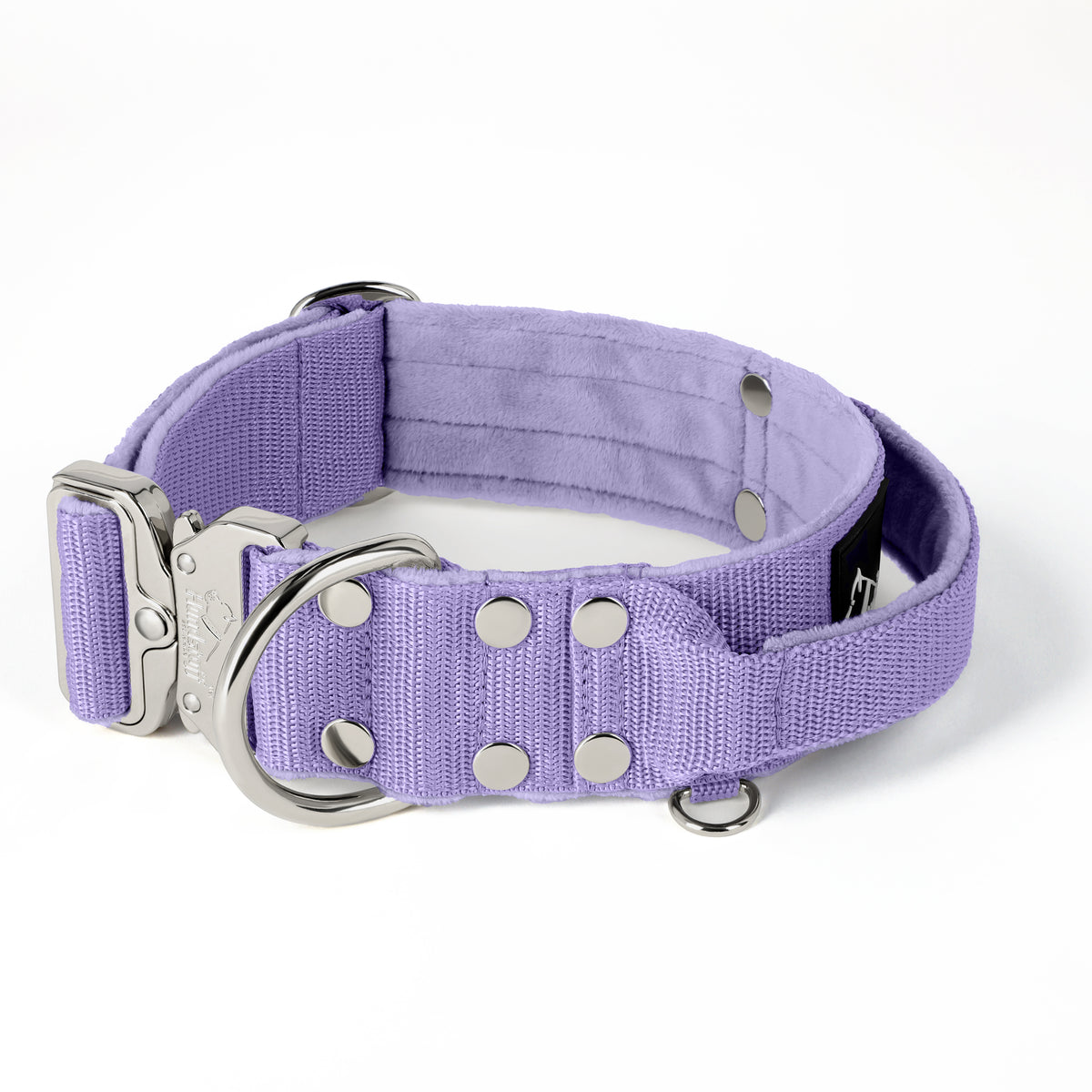 Extreme Silver Buckle Baby Purple - Collar resistente y seguro
