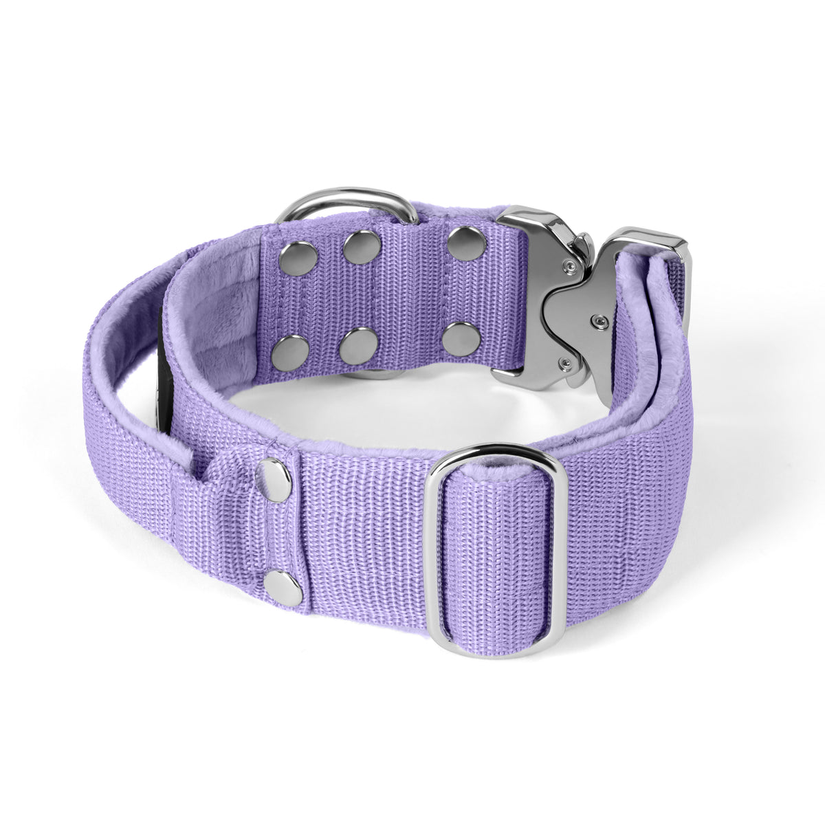 Extreme Silver Buckle Baby Purple - Collar resistente y seguro