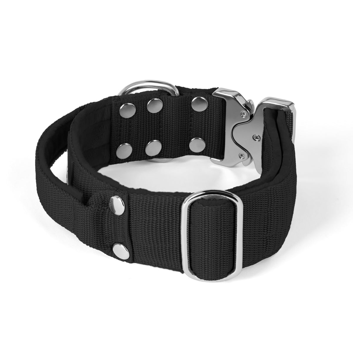 Extreme Silver Buckle Black - Collar fuerte y seguro