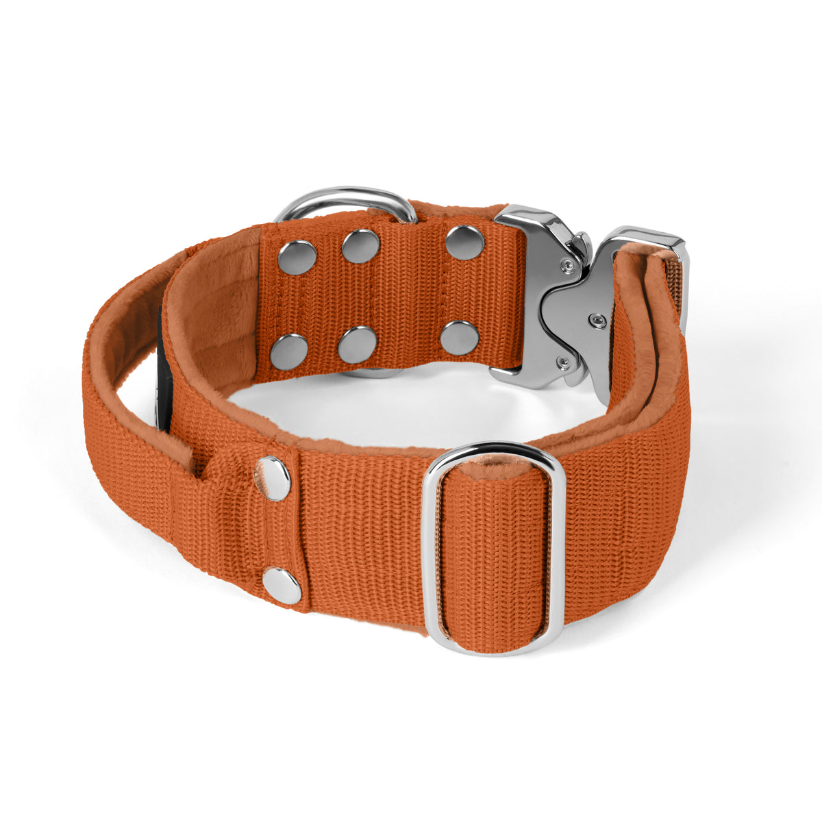 Extreme Silver Buckle Pink - Collar resistente y seguro