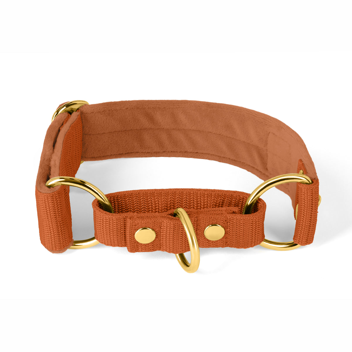 Martingala Golden Burned Orange - Cuello doblado forrado medio planchado