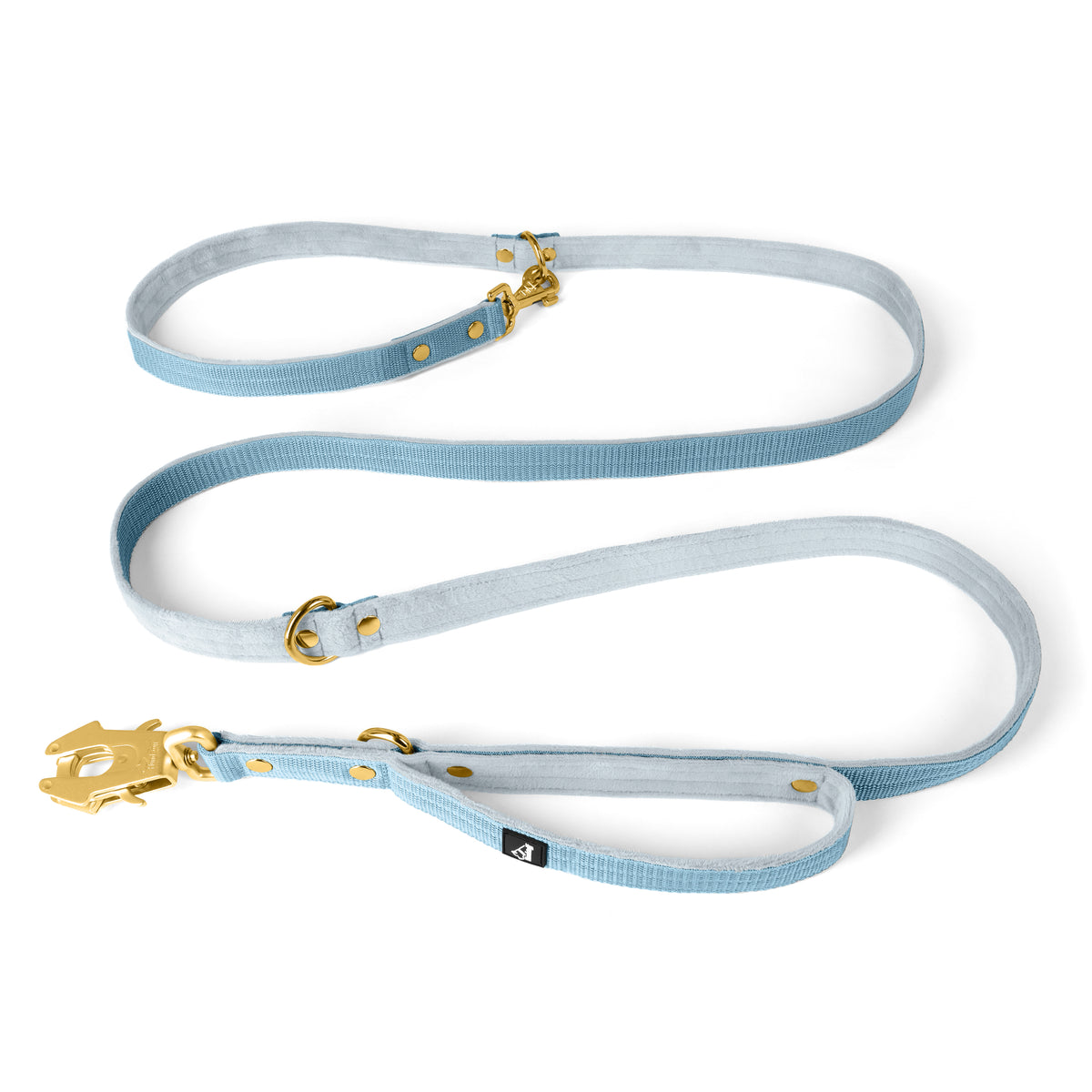 Correa Multi Guard Golden Baby Blue - Correa Multi Guard