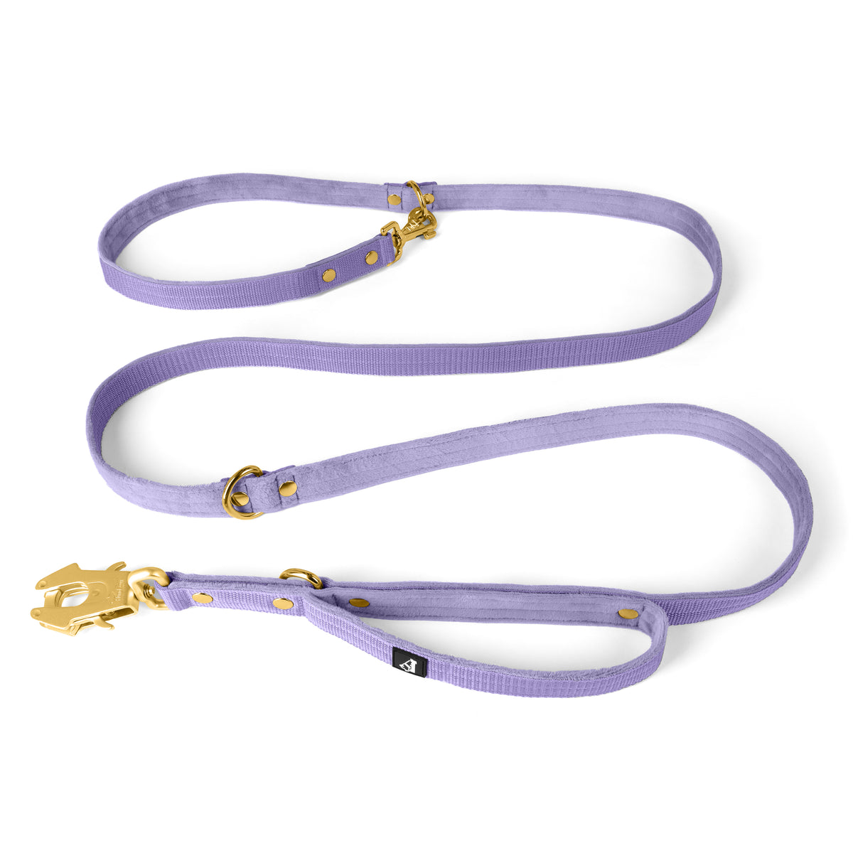 Correa Multi Guard Golden Plum - Correa Multi Guard