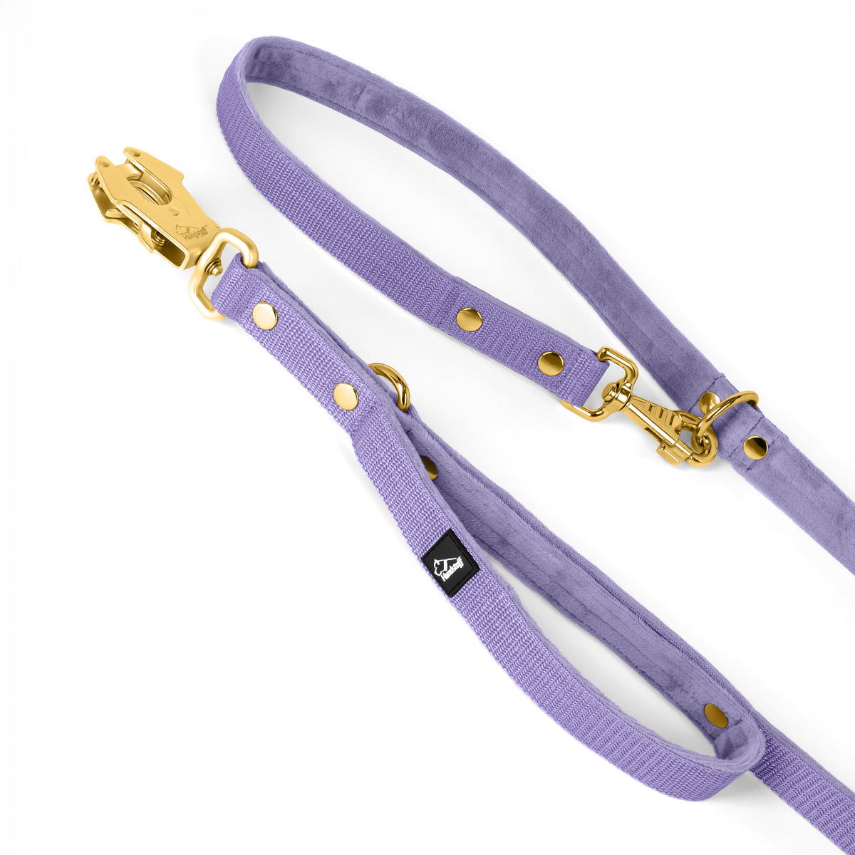 Correa Multi Guard Golden Plum - Correa Multi Guard