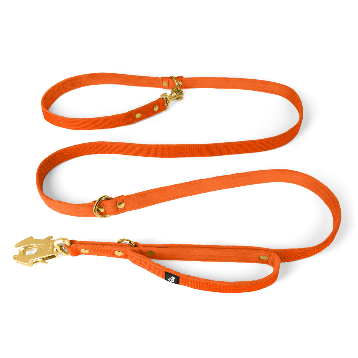 Correa Multi Guard Golden Plum - Correa Multi Guard
