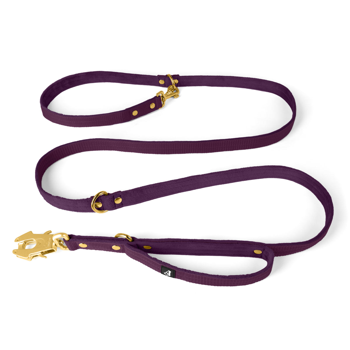 Correa Multi Guard Golden Plum - Correa Multi Guard