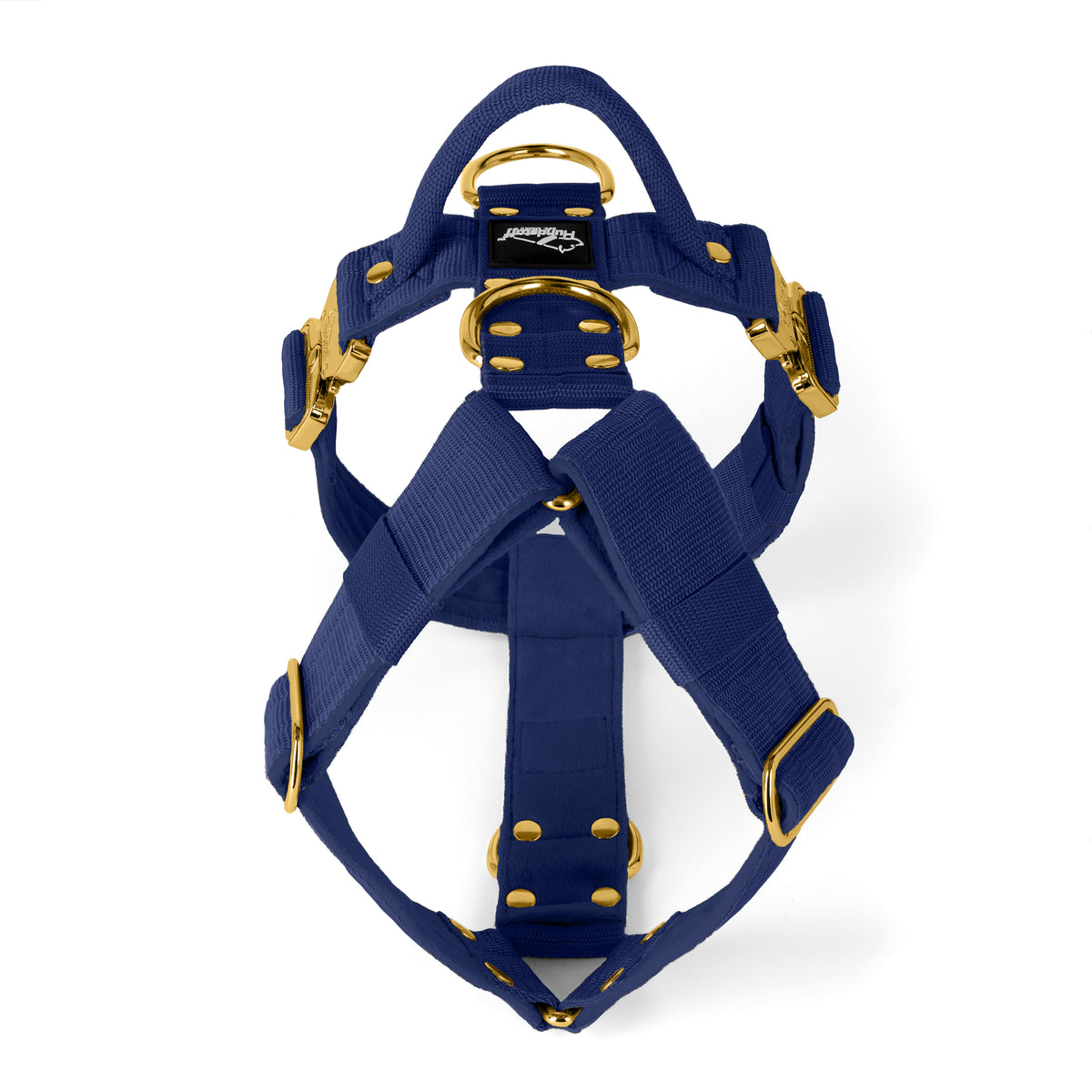 Easy Walk Extreme Gold Buckle Navy - Arnés con hebilla de cierre rápido