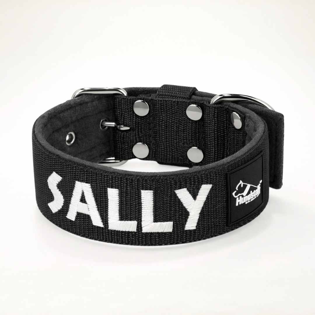 Collar para perro con nombre