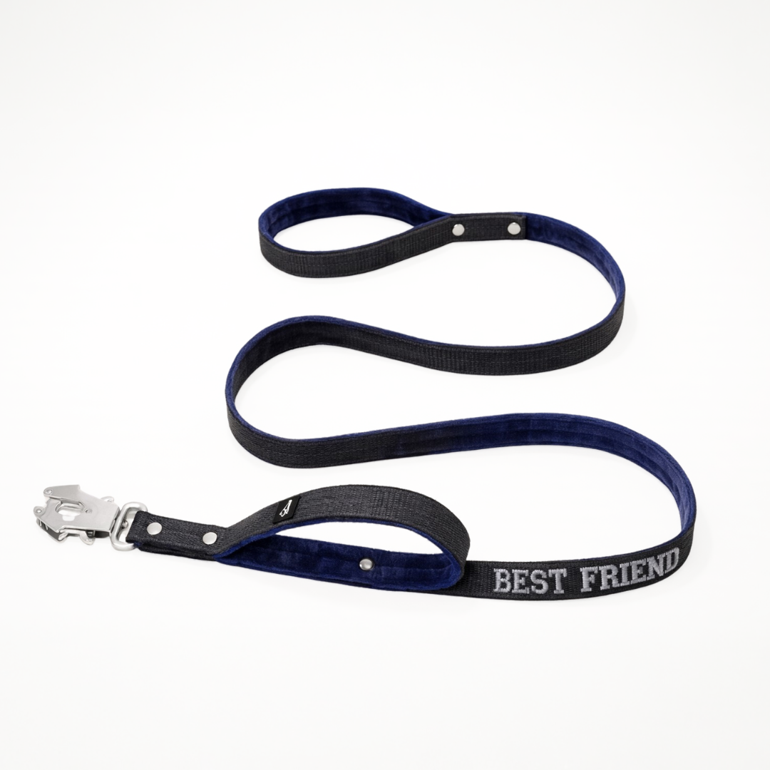 Correa para perro con nombre