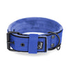 Active Komfort Black Edition Azul - Collar ancho y resistente con hebilla