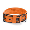 Active Komfort Black Edition Naranja - Cuello ancho y resistente con hebilla