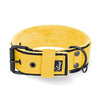 Active Komfort Black Edition Amarillo - Collar ancho y resistente con hebilla