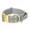 Extreme Gold Buckle Grey - Collar fuerte y seguro