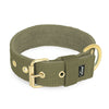 Active Golden Khaki - Collar ancho y resistente con hebilla