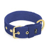 Active Golden Navy Blue - Collar ancho y resistente con hebilla
