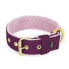 Active Golden Plum - Collar ancho y resistente con hebilla