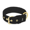 Active Golden Black - Collar ancho y resistente con hebilla